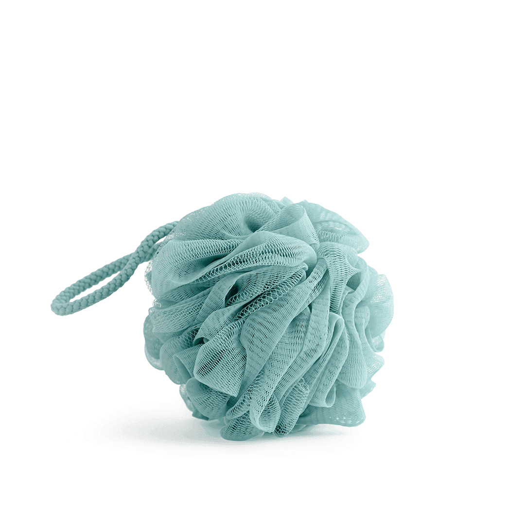 z Body Polisher/Bath Sponge - Image 1